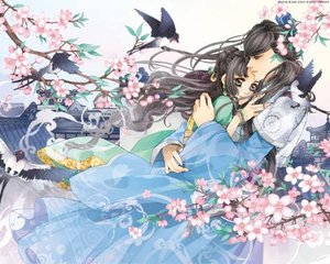 传媒免费在线观看